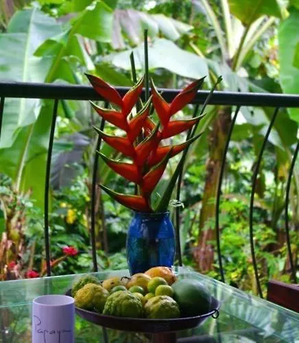 Papayas Self Catering * Victoria