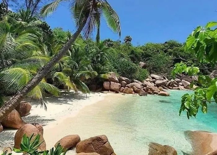 Rum i privatbostad Papayas Self Catering